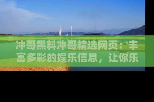 冲哥黑料冲哥精选网页：丰富多彩的娱乐信息，让你乐不停息