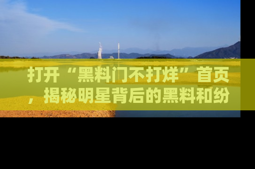 打开“黑料门不打烊”首页，揭秘明星背后的黑料和纷争真相！