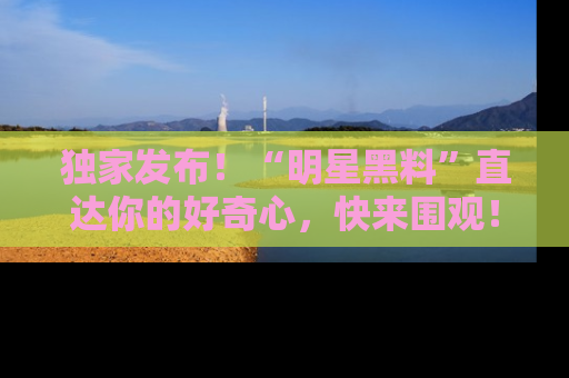 独家发布！“明星黑料”直达你的好奇心，快来围观！