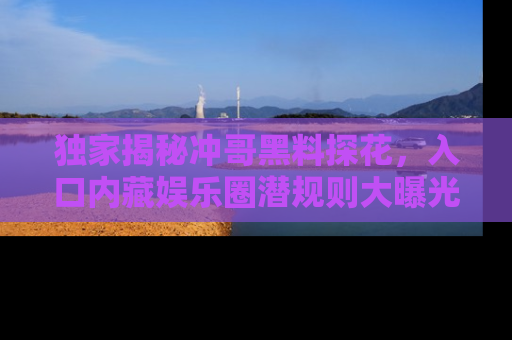 独家揭秘冲哥黑料探花，入口内藏娱乐圈潜规则大曝光