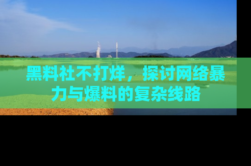 黑料社不打烊，探讨网络暴力与爆料的复杂线路