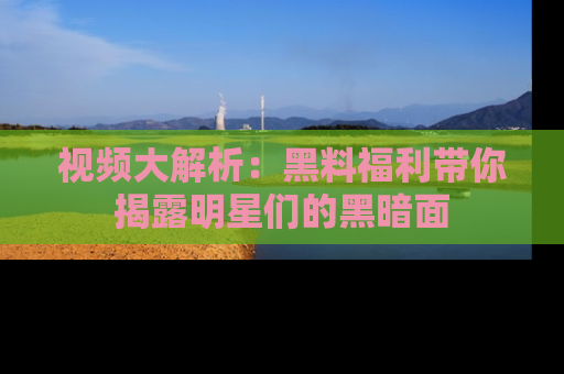 视频大解析：黑料福利带你揭露明星们的黑暗面