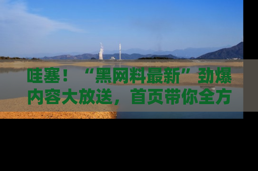 哇塞!“黑网料最新”劲爆内容大放送,首页带你全方位了解哦,小可爱们