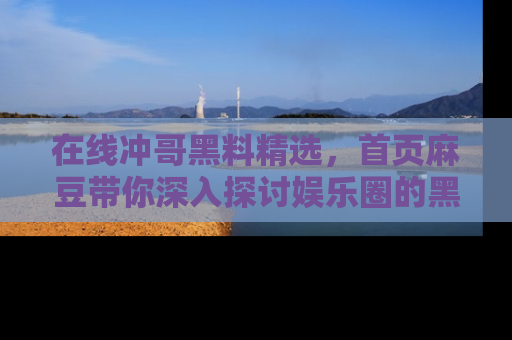 在线冲哥黑料精选,首页麻豆带你深入探讨娱乐圈的黑暗面