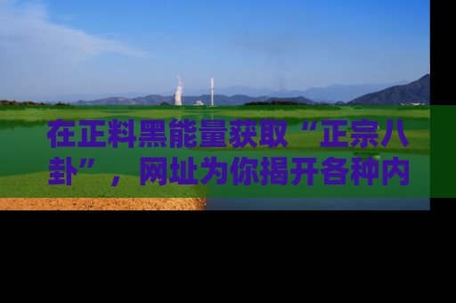 在正料黑能量获取“正宗八卦”,网址为你揭开各种内幕故事!
