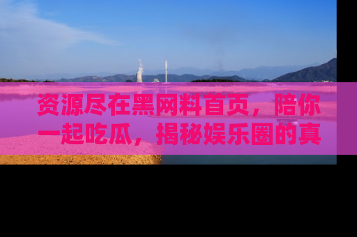 资源尽在黑网料首页,陪你一起吃瓜,揭秘娱乐圈的真实内幕