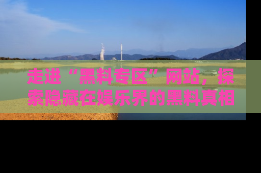 走进“黑料专区”网站,探索隐藏在娱乐界的黑料真相